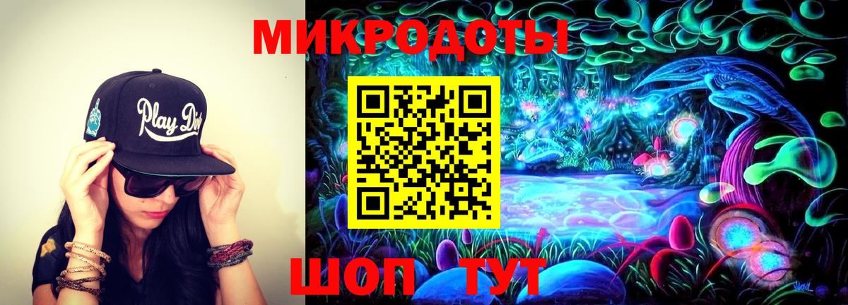 Псилоцибиновые грибы Cubensis Курчатов