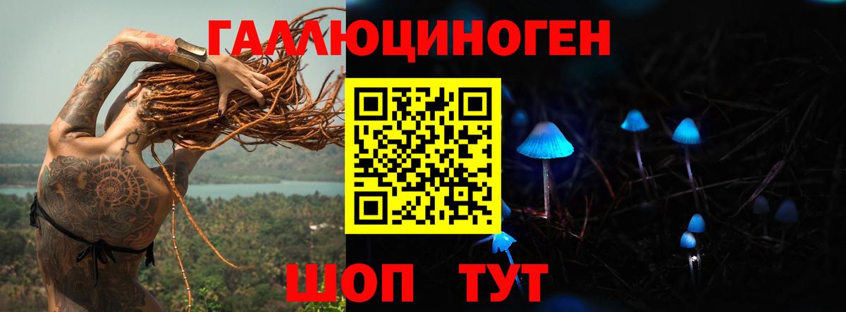 Галлюциногенные грибы прущие грибы  как найти   Вход с VPN  Курчатов  Псилоцибиновые грибы прущие грибы 