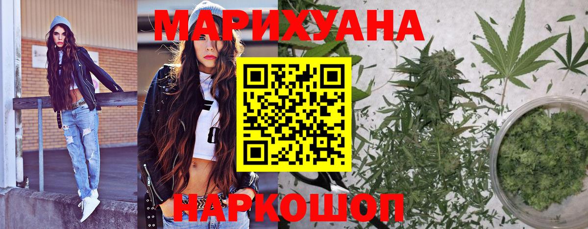 Каннабис план Курчатов